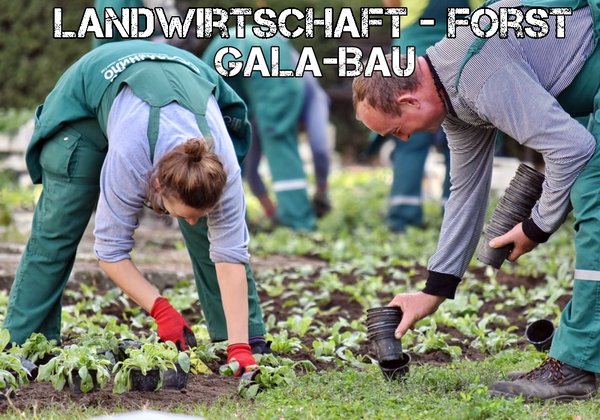 Beruf: Landwirtschaft-Forst-GaLa-Bau